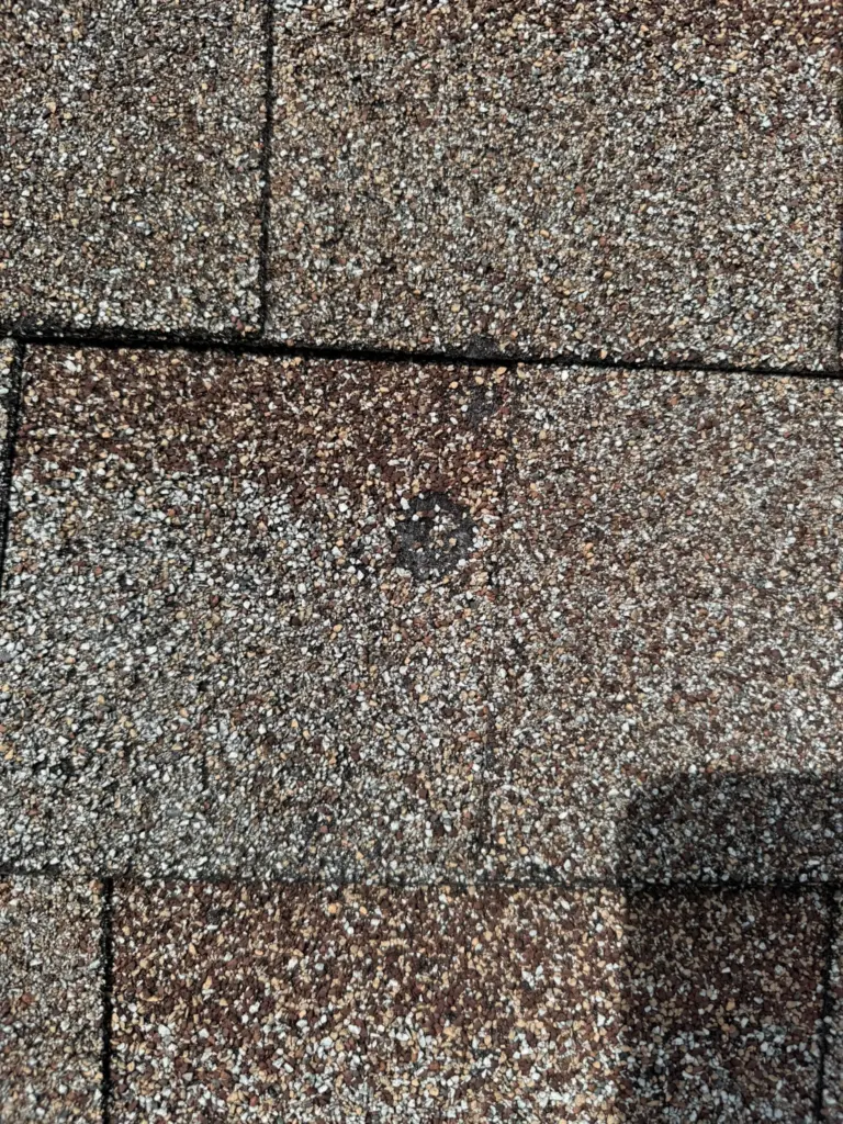 Integity Roof Services Starts roofers roof hail damage in Winter Park Flordia