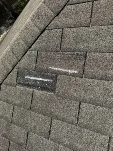 Missing and lifted shingles identified during inspection — wind damage and granule loss documented for insurance and replacement approval.