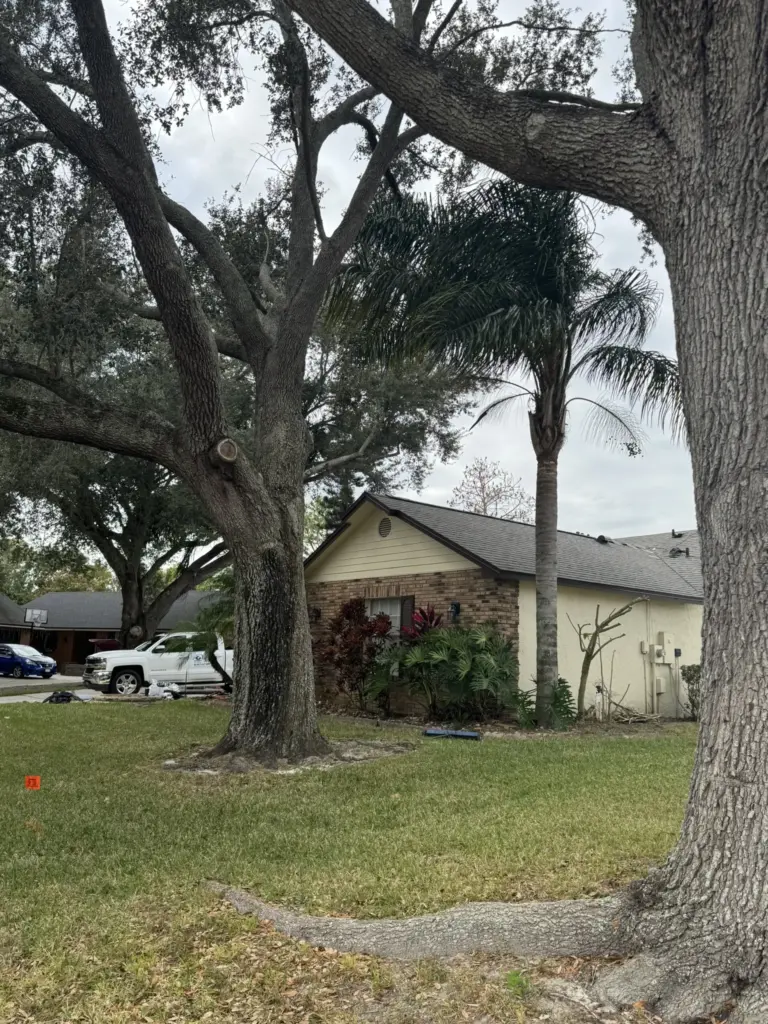 New roof installation viewed from the yard following full storm-damage replacement.