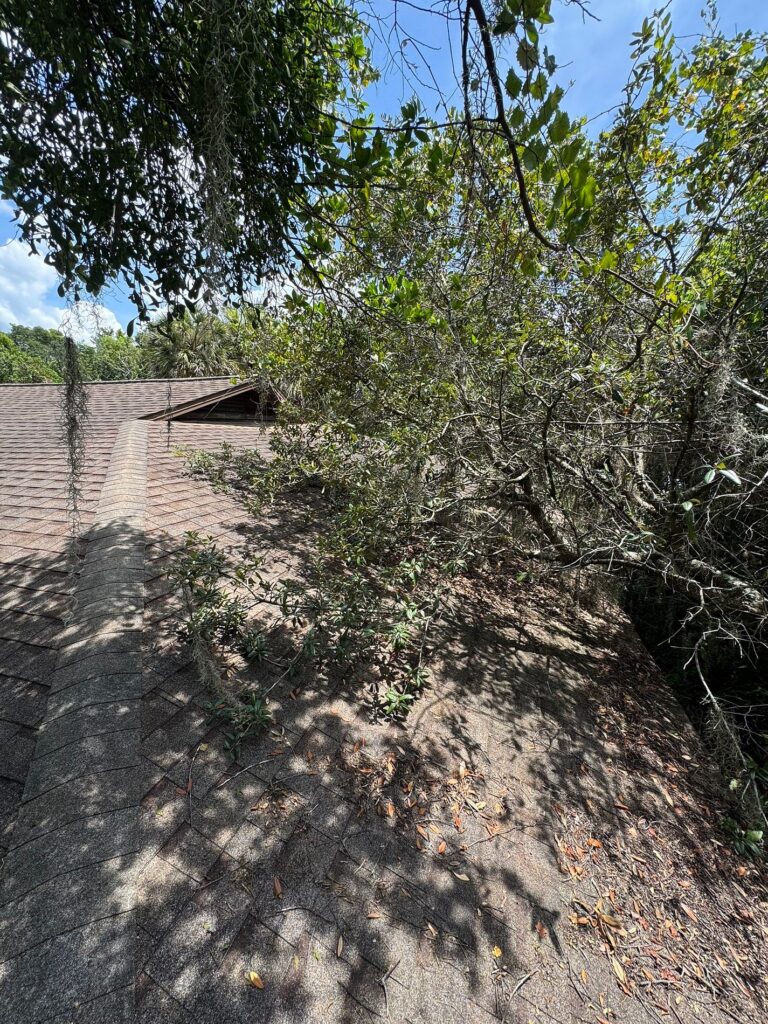 Rear roof before replacement on Eastwood Drive Orlando FL