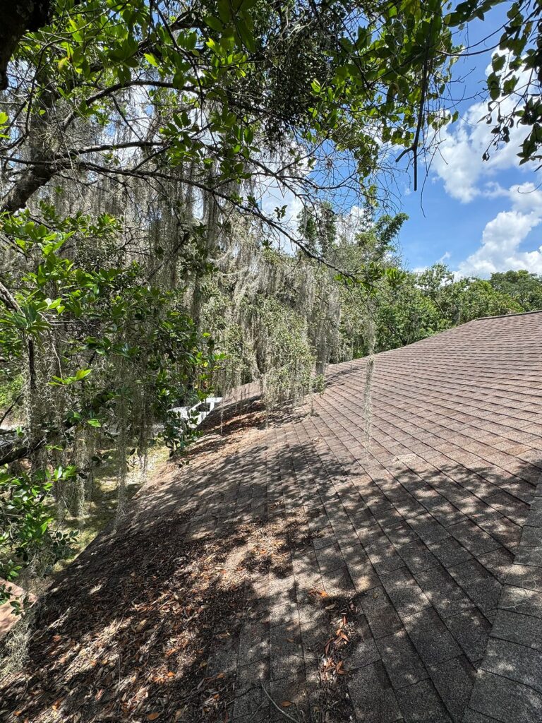 front top roof before