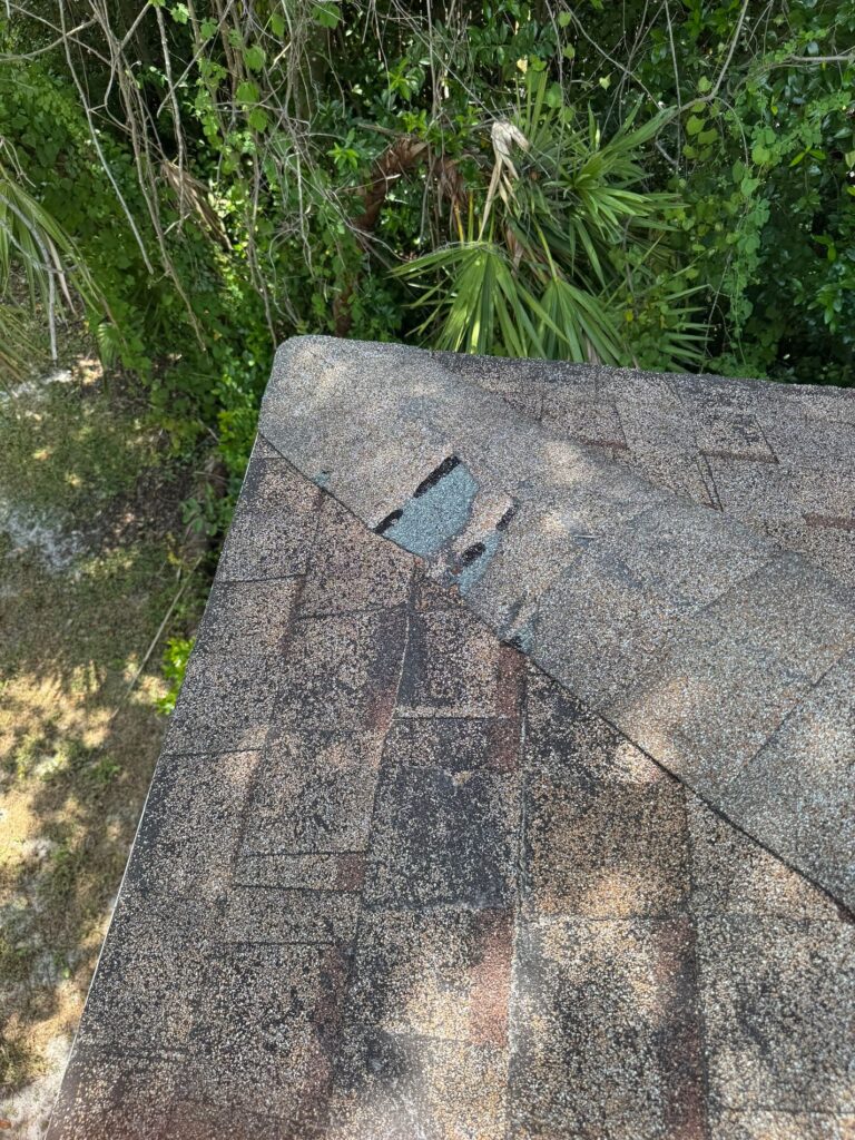 Missing and damaged ridge shingles documented before the Eastwood Drive roof replacement.